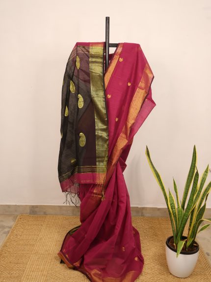 Magenta & Black Chanderi Cotton Saree