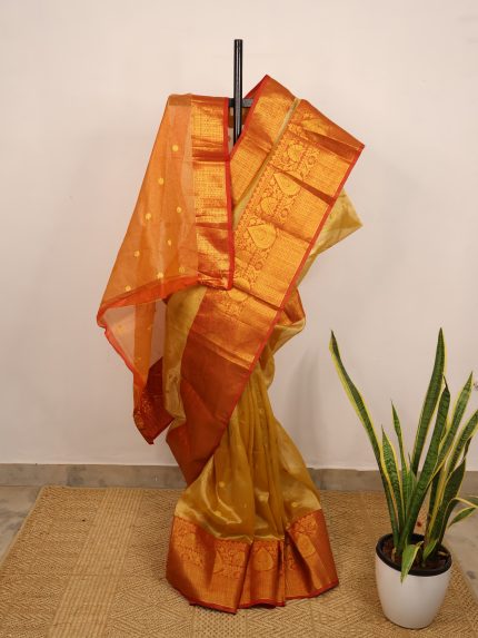 Gold & Red Semi-Tissue Saree