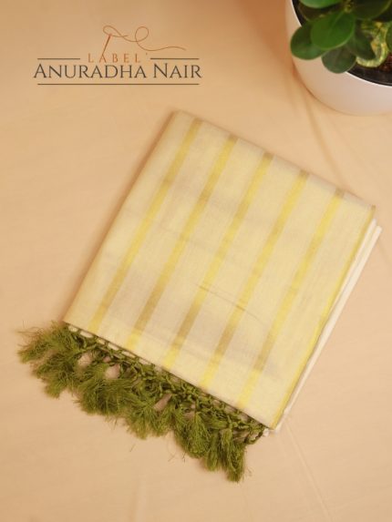 Tissue saree